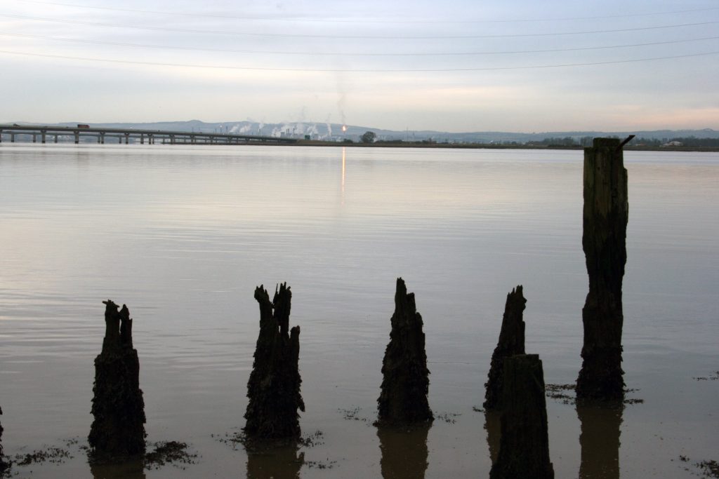 Wooden piles on the Forth, with Grangemouth in the background.