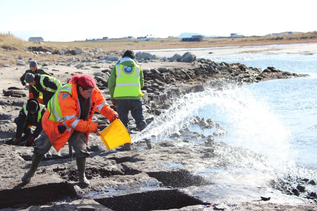 A group of people on a beach, wearing hi-vis, bending over a grid of square pits dug into the intertidal shore, and using buckets to bale out tidal water that has flooded the pits