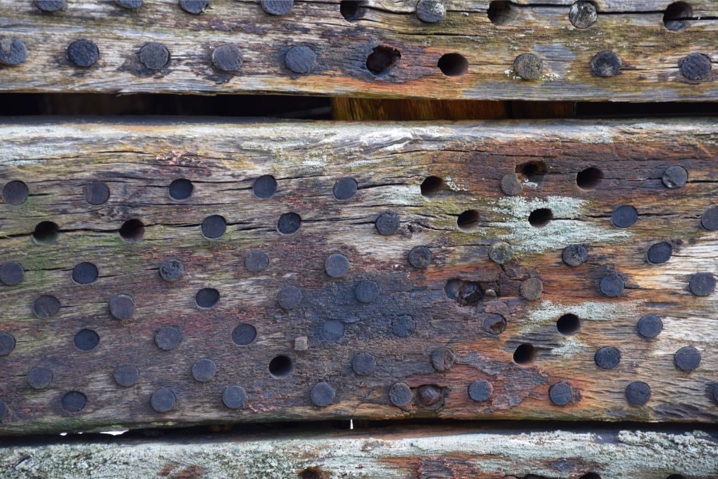 A very close up shot of the grid of small holes in the planking showing the wooden pegs which plug them