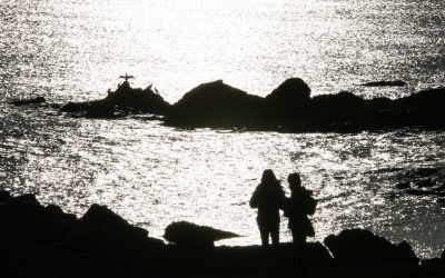 Our first ShoreUPDATE training day