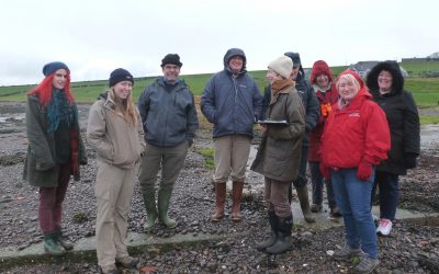 ShoreUPDATES on the Solway Firth