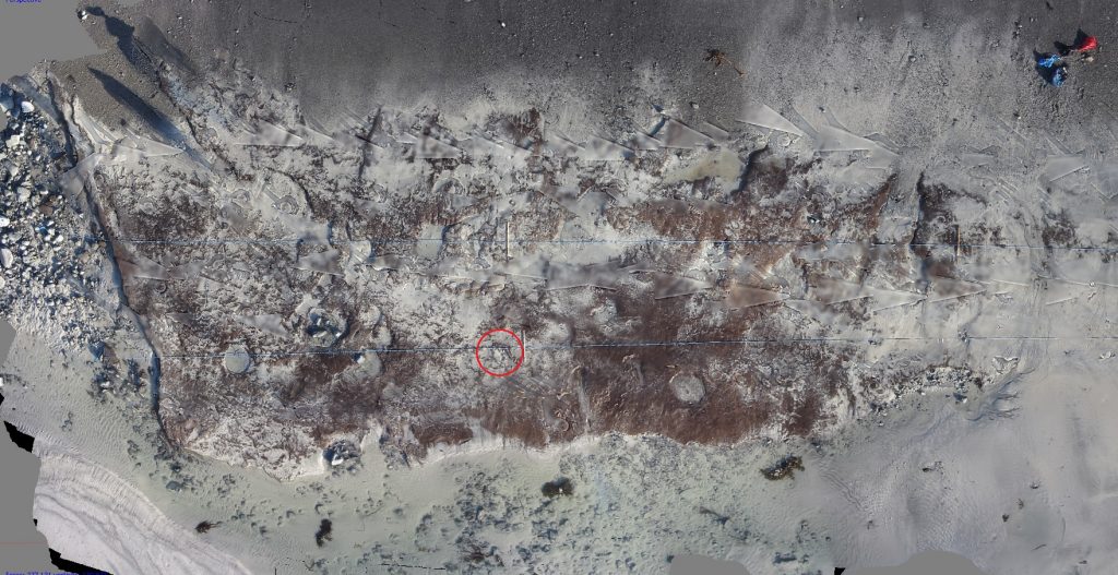 An aerial-plan view of the beach at Baleshare, showing the exposed peat deposits and the remains of the basket in the centre of the image