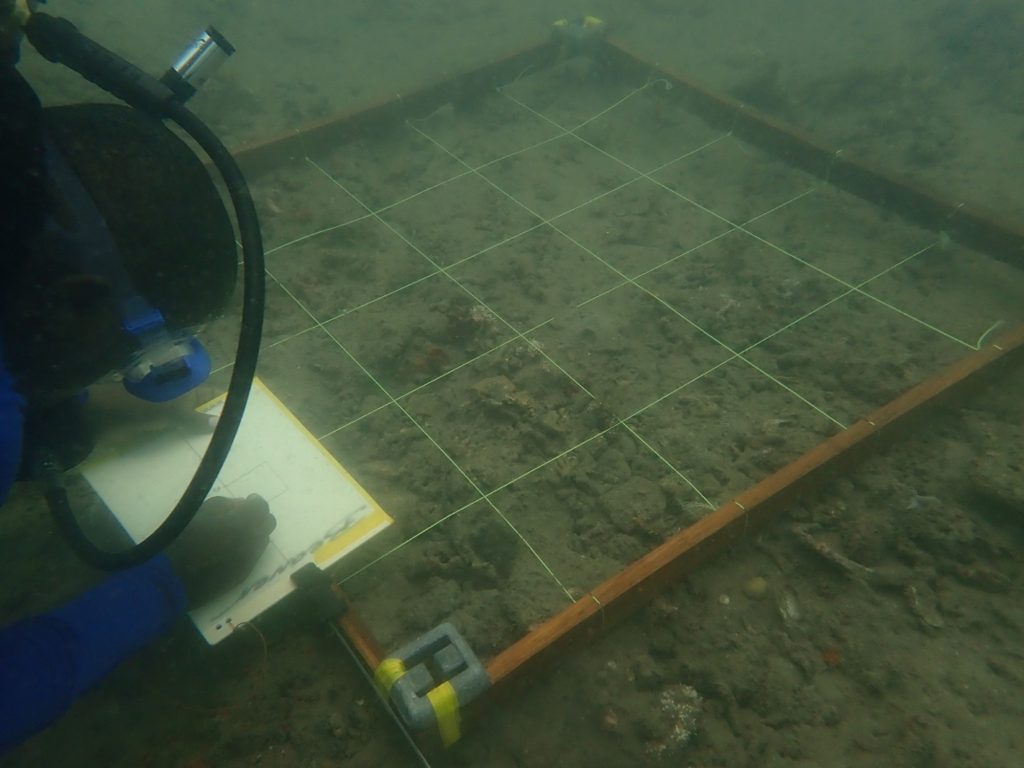 An underwater photograph of a diver holding a clipboard and pencil next to a wooden frame divided into a 20cm grid laid flat on the seabed.
