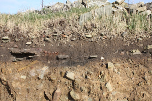 An detail of an eroded coast edge with a black burnt area visible in the soil