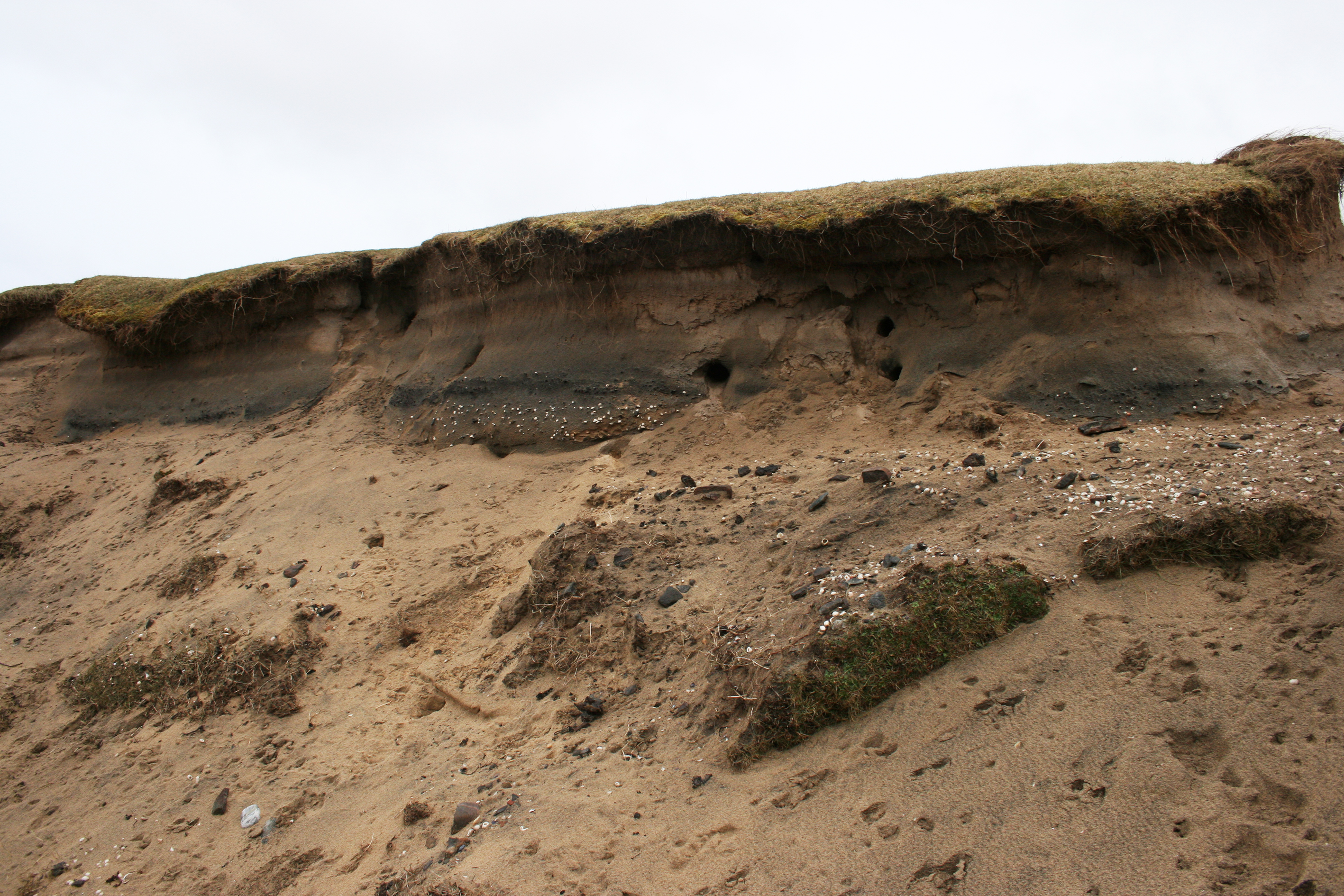 Closer view of section deposits. Fire-cracked stone in the foreground.