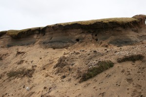 Closer view of section deposits. Fire-cracked stone in the foreground.