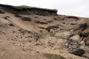 View to show relationship between the stream; mound of fire-cracked stone (New Site 12477) in the foreground; burnt layers and midden material exposed in the section and with the site just visible in the background.