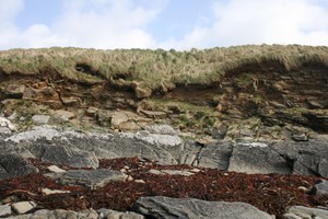 Cross section of kelp burning pit