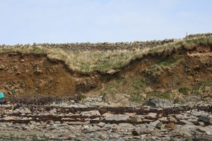 Cross section through kelp buring pit