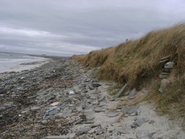 View of site on Lopness beach