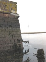 Pier west stone wall showing erosion at top right hand corner.  Photo taken facing south east