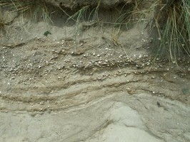 Traigh na Cille. View of section showing midden layers