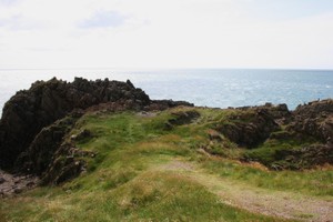 Wickerman Site