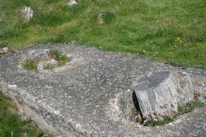 Wickerman Stumps - North View
