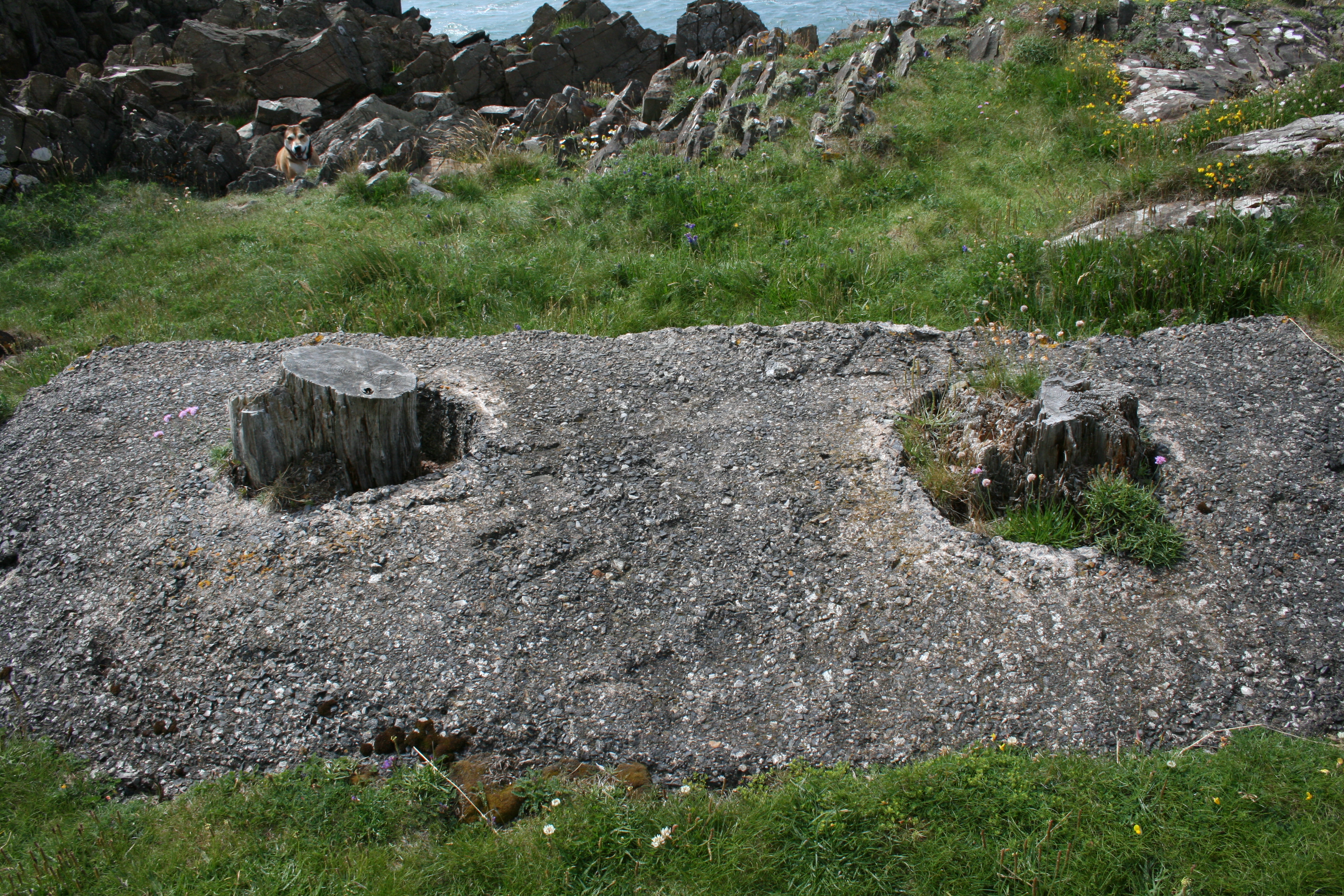 Wickerman Stumps - Southward View