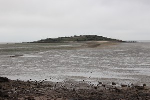 From Roughfirth foreshore looking S. Rough Island in background.
