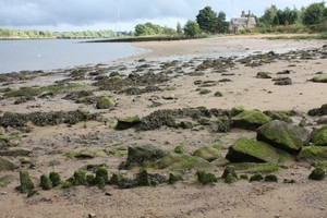Looking east with disused ferry slipway in the background