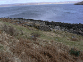 Port Henderson kiln, the site looking towards the coast edge