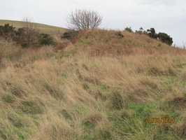 General view, motte and stonework