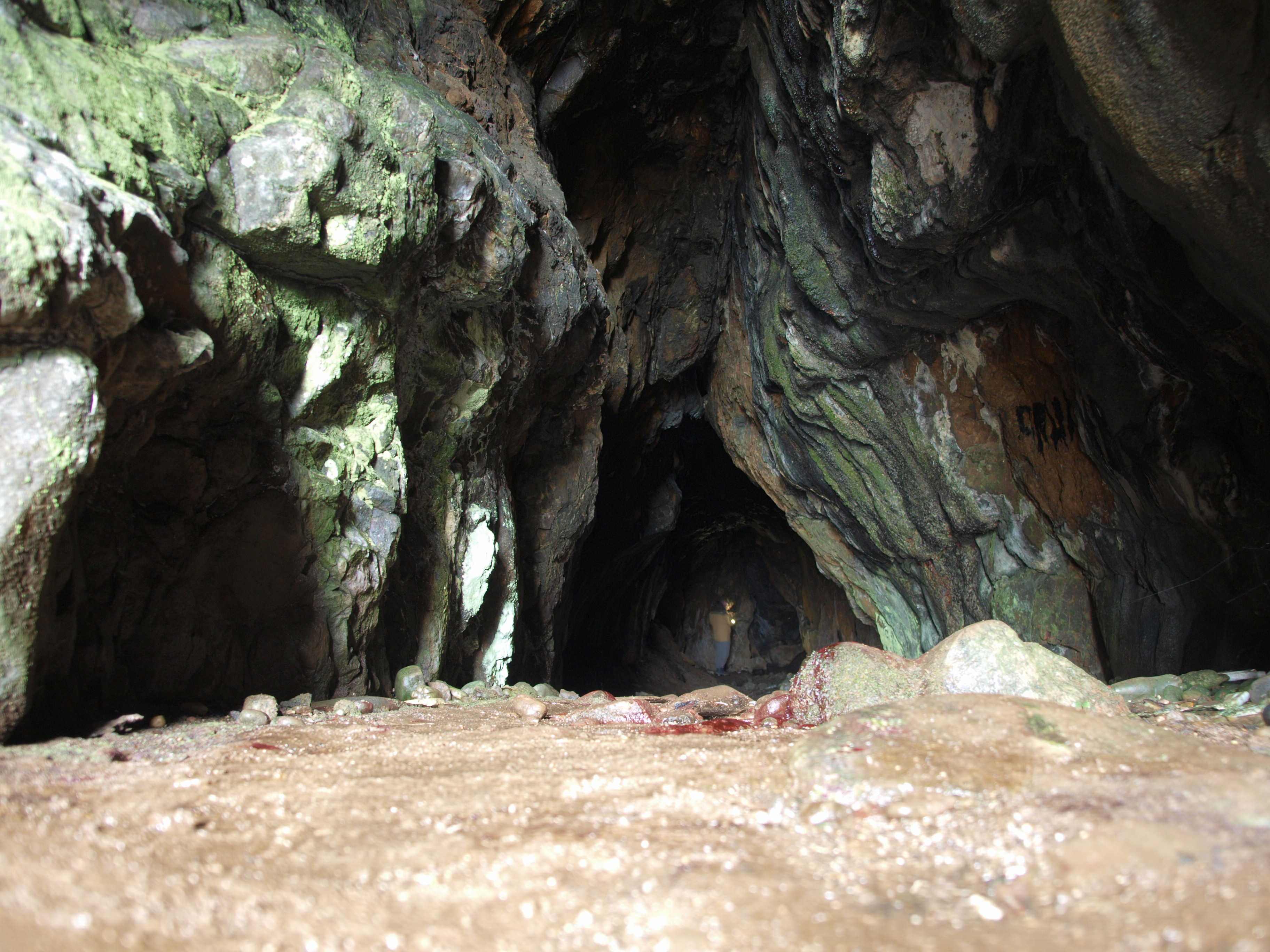 View of first and longest section of cave from entrance