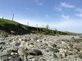 To show general nature of coast edge, looking northwest