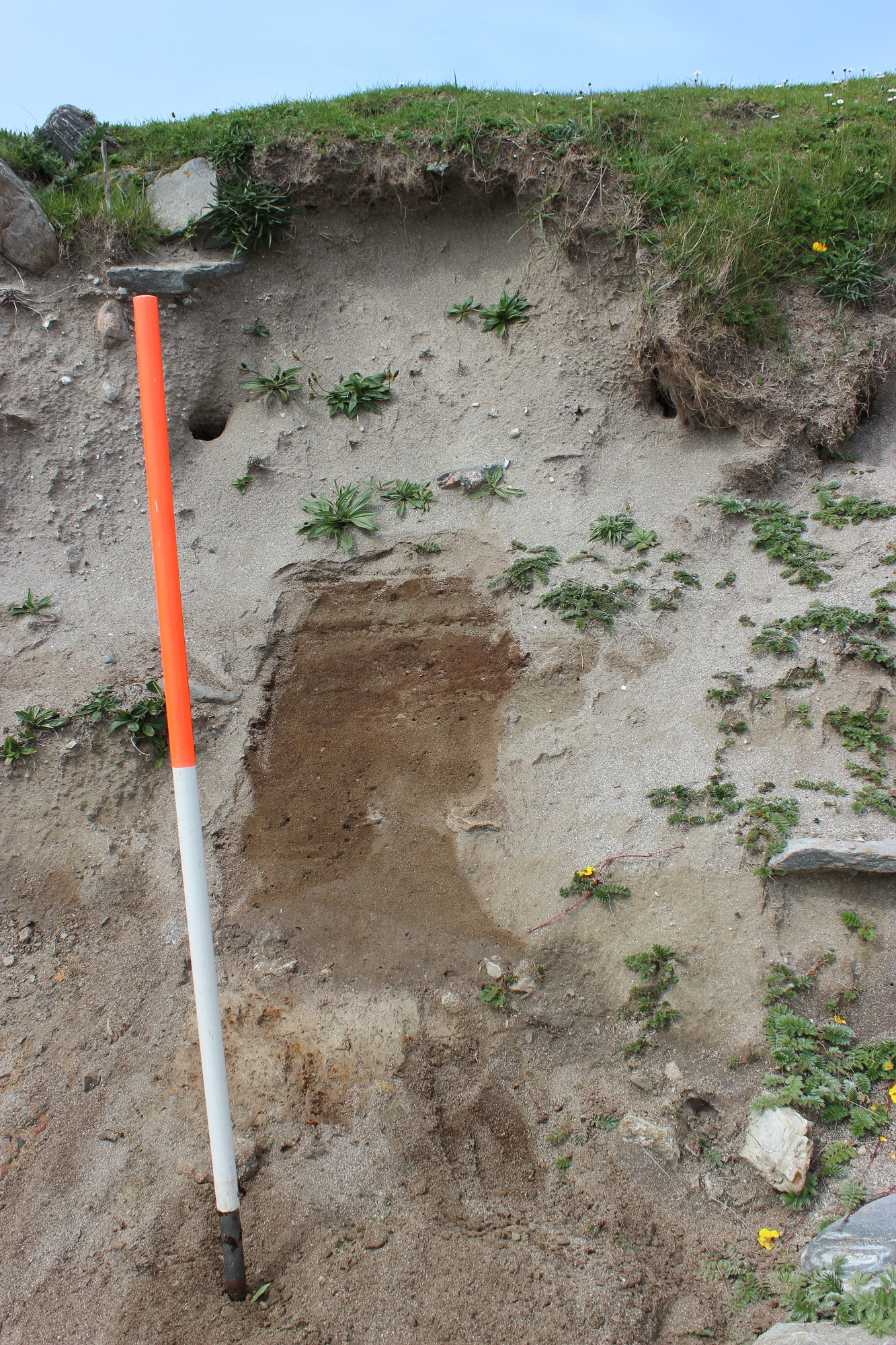 Showing 'floor' deposits inside structure overlain with blown sand