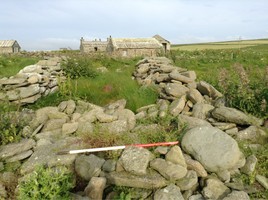 2. Detail of a typical noost, looking east.