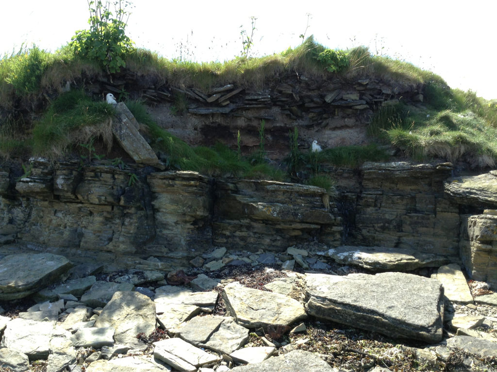 Stone structure upon low rock platform and till