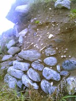 Stones from a structure, top soil over-hanging and a midden layer. 