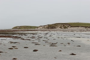 Relative location in coast edge of of Site 9612 to south and Site 9609 to north, looking NE
