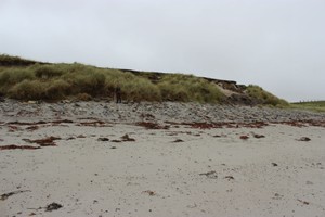 General view looking SE, main exposure on background. Note spread of stone on upper beach
