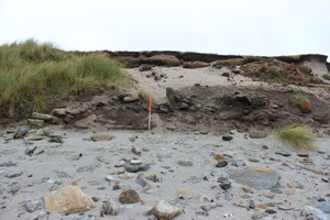 Remains of wheelhouse, looking E. Curving wall to left (north) of image, internal structures to right (south)