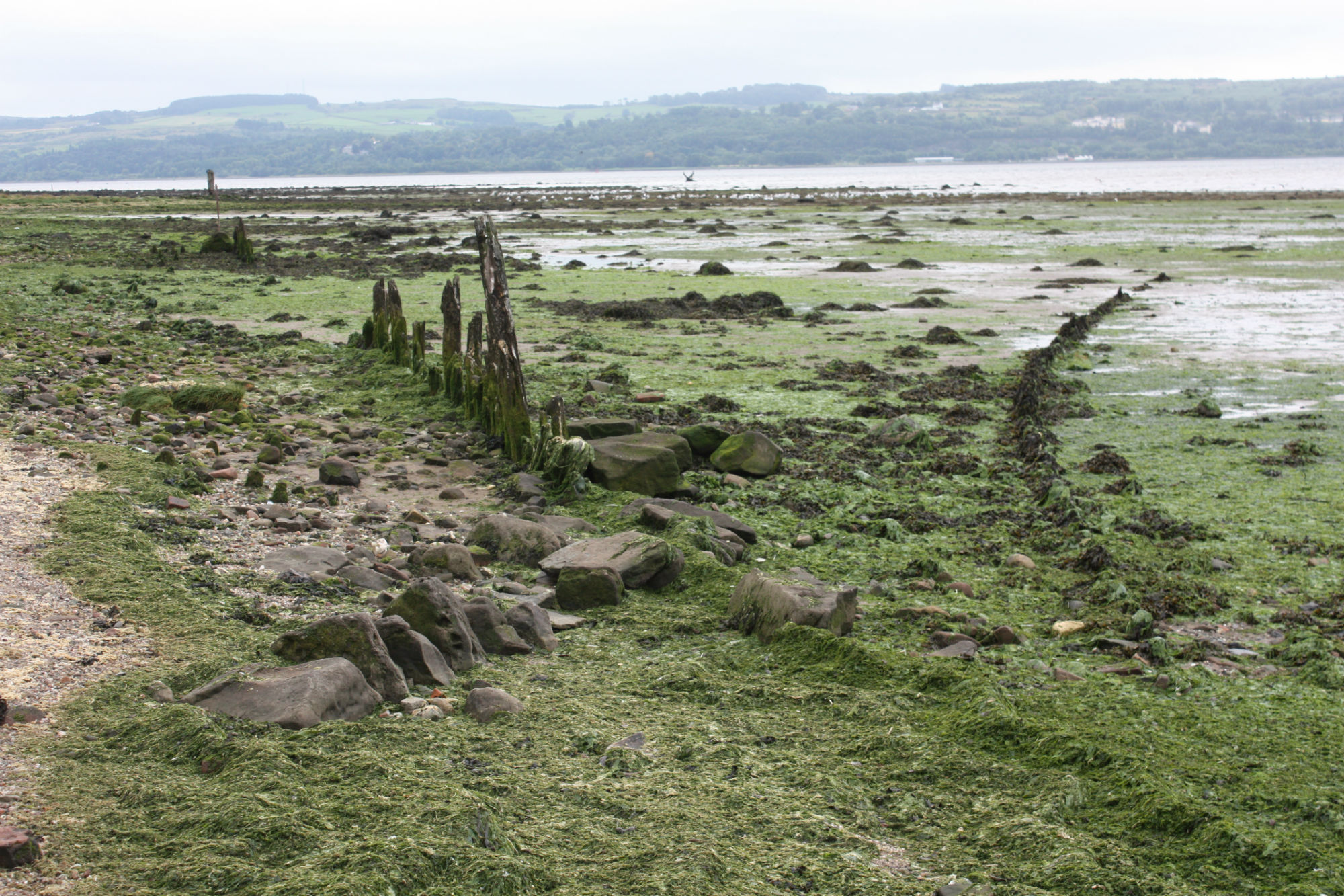Cardross Shore wooden post structure