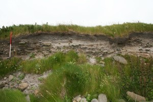 Biggings, showing wall, possible paving and ashy layers