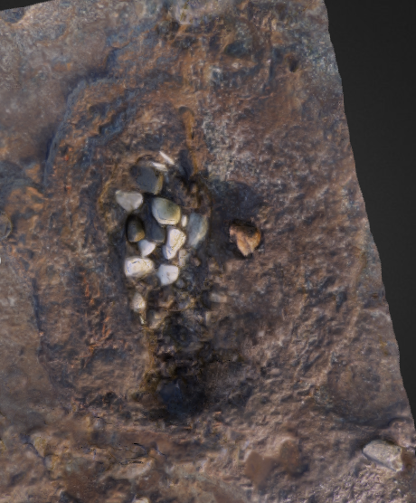 3D view of possible pit with remains