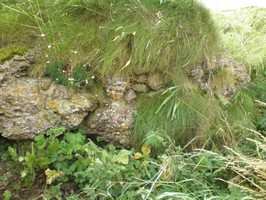 Eyemouth Fort, detail of stonework