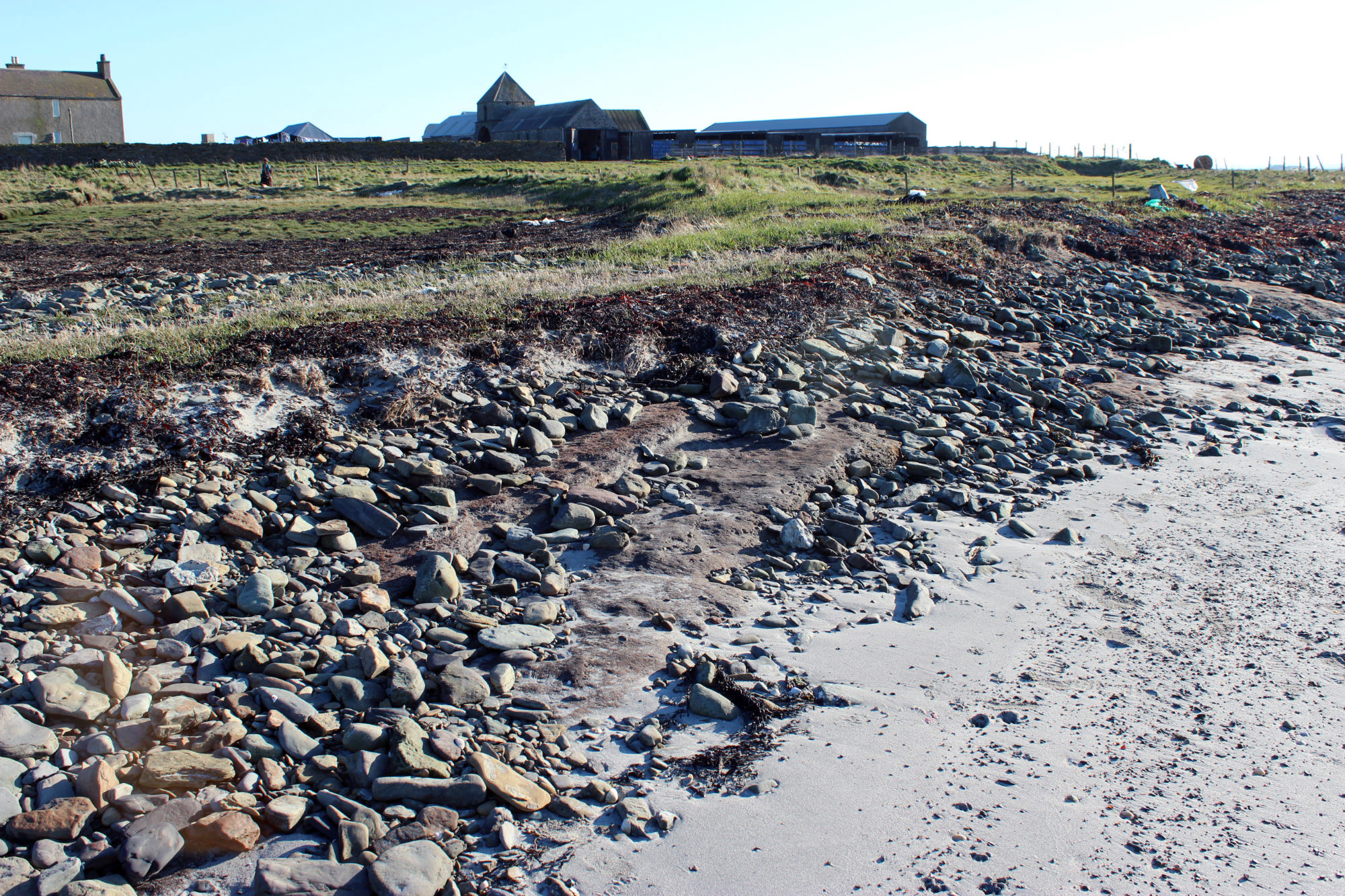 Intertidal peat in April 2014, looking SE