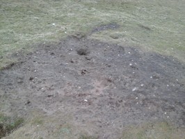 Mealista - view of the exposed area of midden