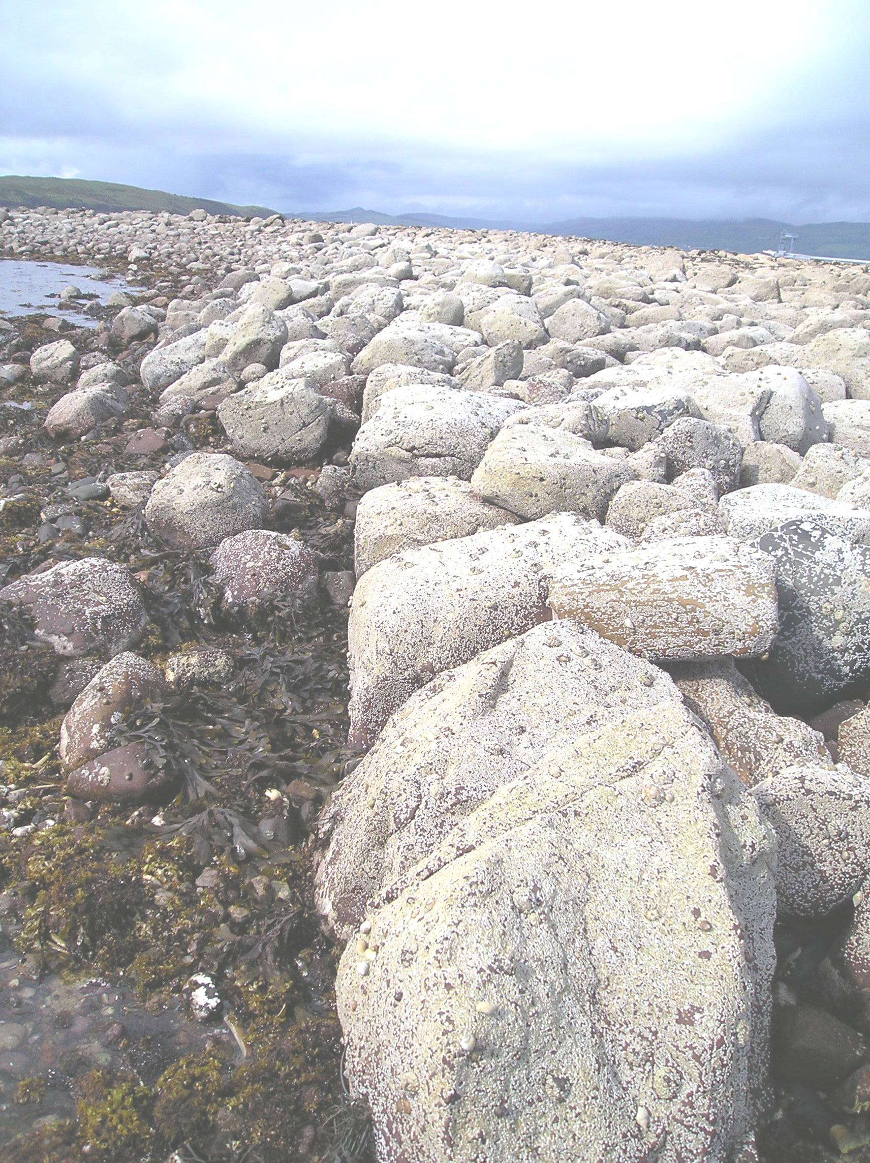 Brigurd Point, Hunsterston Sands, Harbour, alignment of facing stones along harbour 'back-wall'