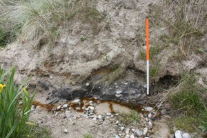 Ardnave view of the natural deposits visible in section in the stream bank