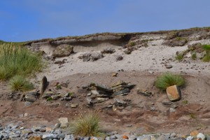 Stonework and midden eroding from the coast edge by Susy Macaulay