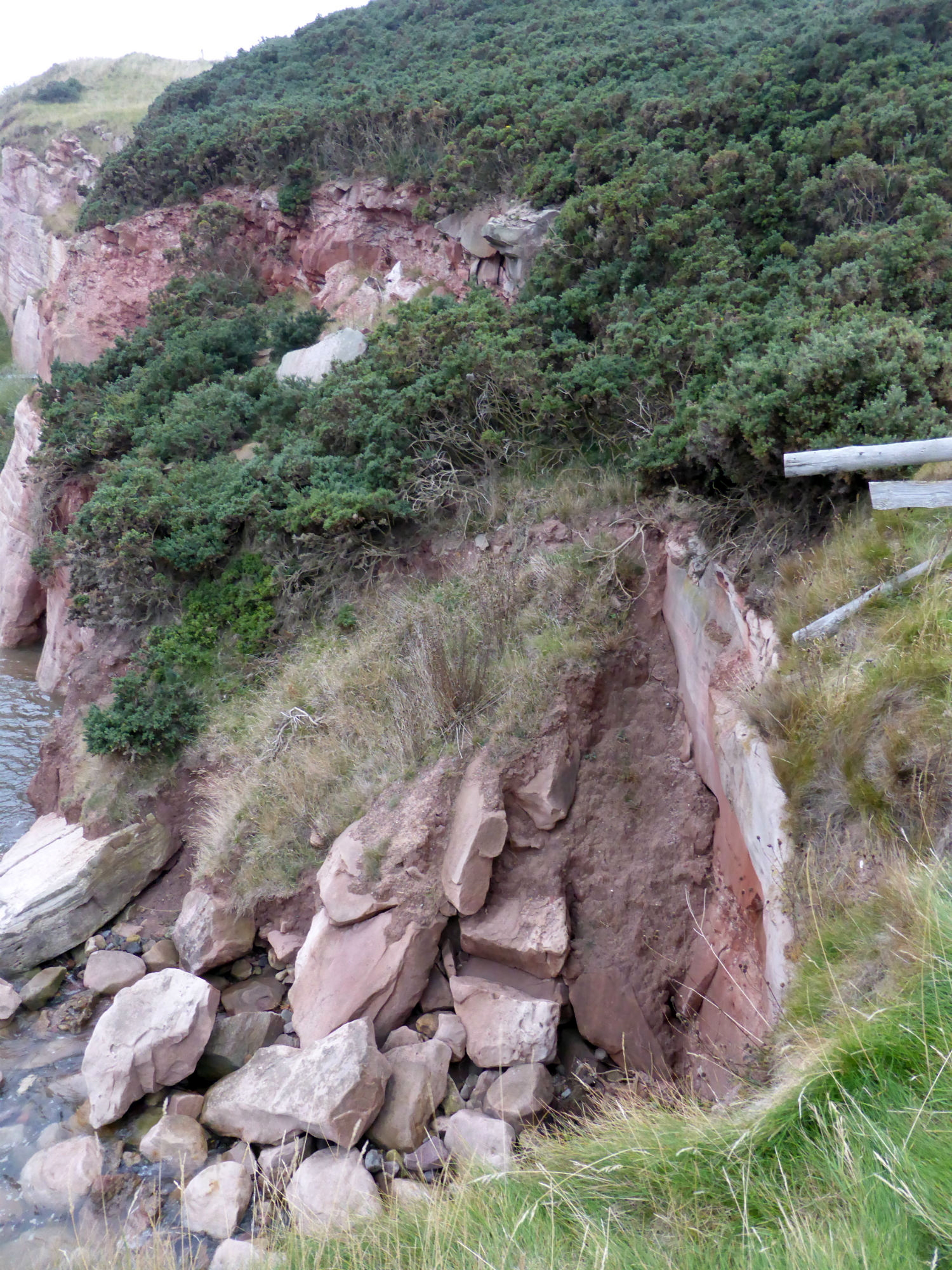 Recent slope failure on west side of harbour, looking W