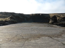 Bedrock platform at coast edge