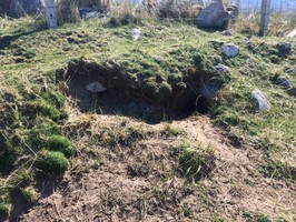 Rabbit burrow in coast edge