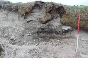 Cleaned deposits exposed in section