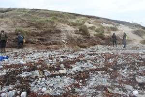 General view of coast edge at site, May 2016