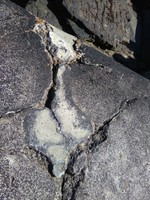 Damage to concrete on surface of pier