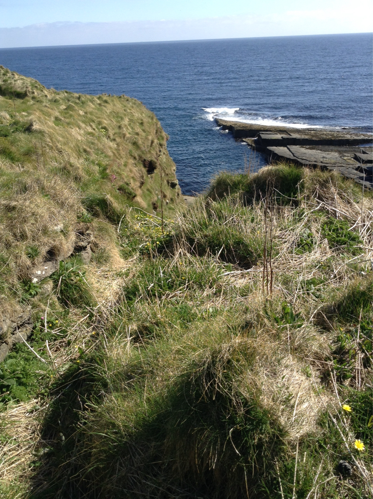 Cliffs on the south side of the broch promontory