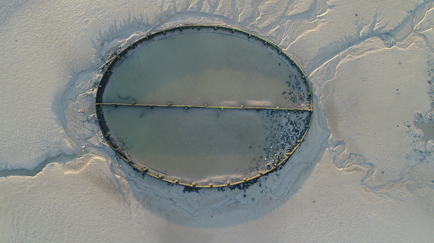 Vertical aerial view of swimming pool