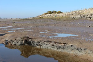 Feb 2019: eroding peat at Redkirk Point